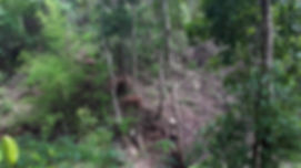 20190530_101846.jpg